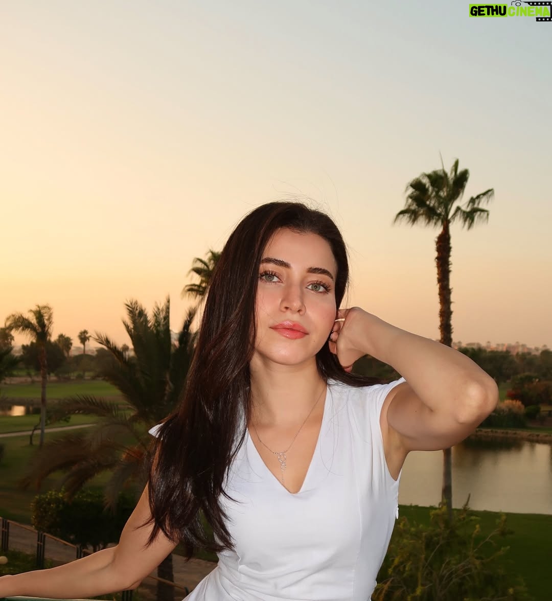 Sarah Elshamy - 14.3K Likes - 5:47 o’clock sun 🌻🐝🌼🍂🔅