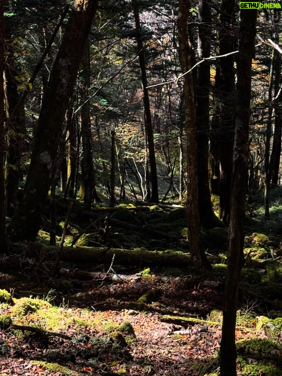 Sayu Kubota - 11.6K Likes - やっと！今年やろうと決めていた登山に⛰️年々体を動かすことが好きになってる。心も身体もすこやかでありたいですね、