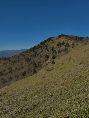 Sayu Kubota Instagram - やっと！今年やろうと決めていた登山に⛰️年々体を動かすことが好きになってる。心も身体もすこやかでありたいですね、