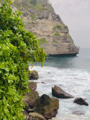 Sezin Bozacı Instagram - Bali’lililliler… 🏝️🍹🐠🪷🥭 #bali 🇮🇩