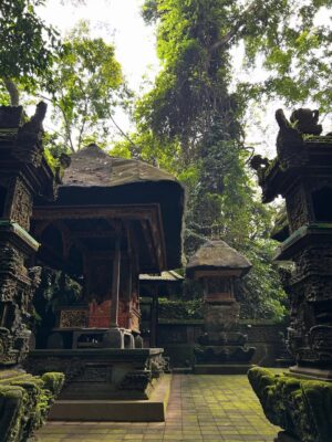 Sezin Bozacı Instagram - Bali’lililliler… 🏝️🍹🐠🪷🥭 #bali 🇮🇩