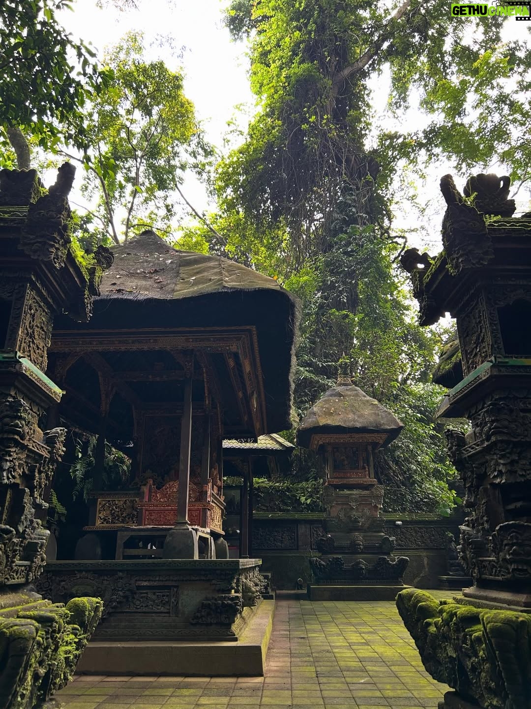 Sezin Bozacı - 7.8K Likes - Bali’lililliler… 🏝️🍹🐠🪷🥭 #bali 🇮🇩