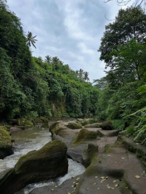 Sezin Bozacı Instagram - Bali’lililliler… 🏝️🍹🐠🪷🥭 #bali 🇮🇩