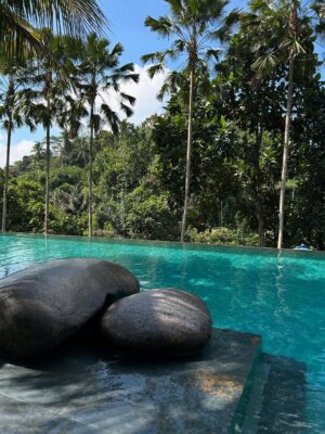 Sezin Bozacı Instagram - Bali’lililliler… 🏝️🍹🐠🪷🥭 #bali 🇮🇩