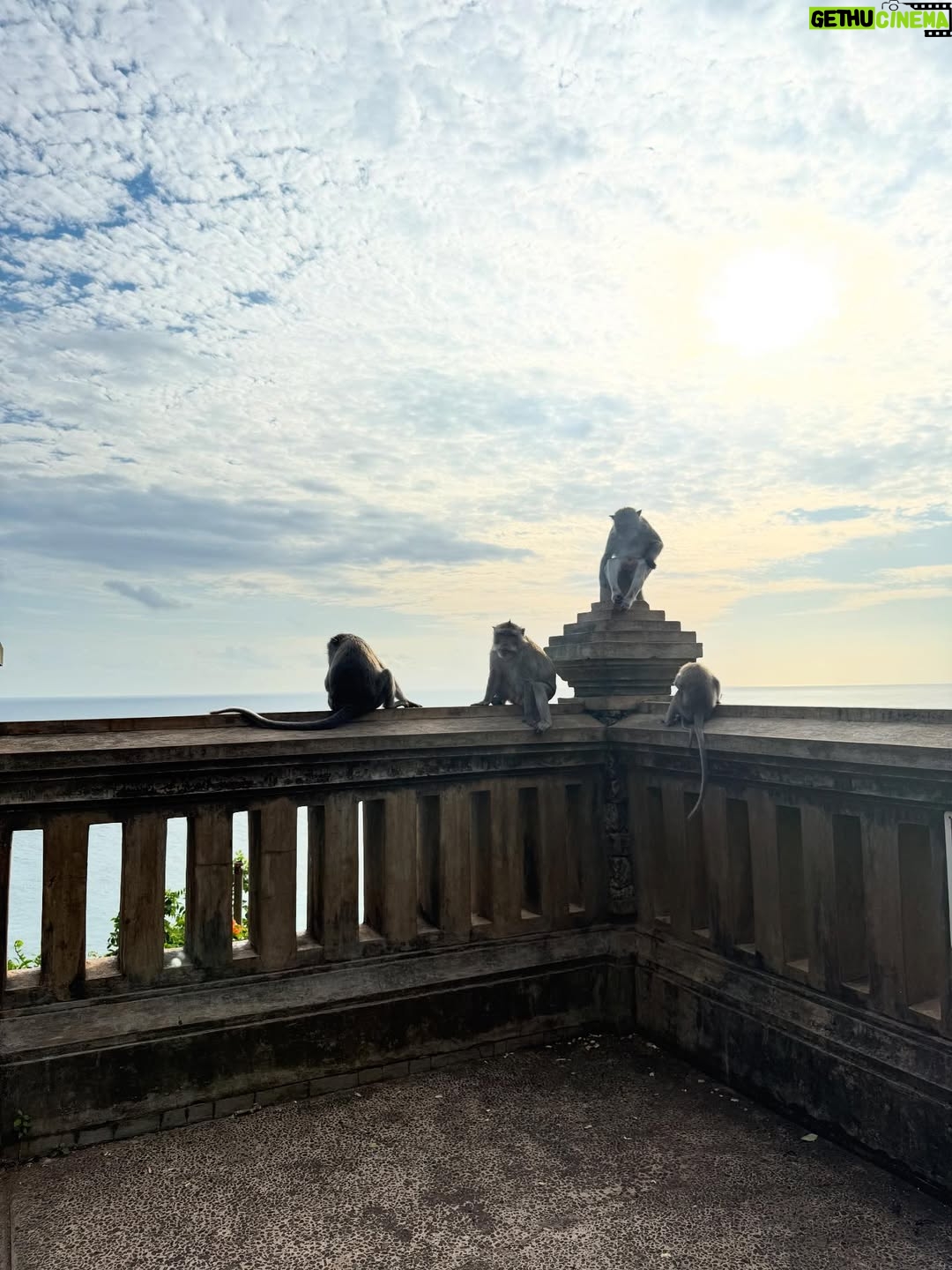 Sezin Bozacı - 7.8K Likes - Bali’lililliler… 🏝️🍹🐠🪷🥭 #bali 🇮🇩