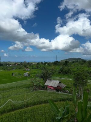 Sezin Bozacı Instagram - Bali’lililliler… 🏝️🍹🐠🪷🥭 #bali 🇮🇩