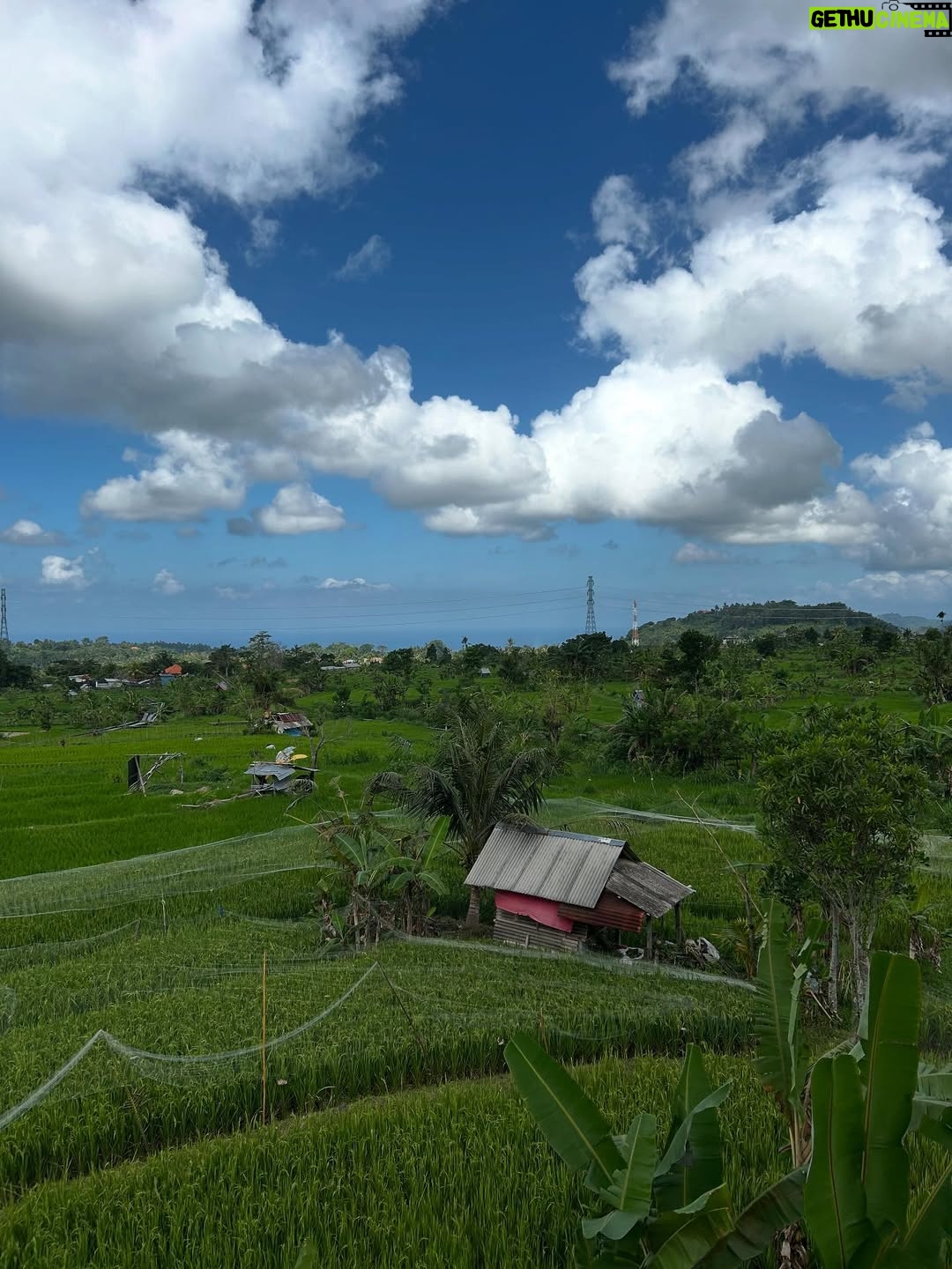 Sezin Bozacı - 7.8K Likes - Bali’lililliler… 🏝️🍹🐠🪷🥭 #bali 🇮🇩