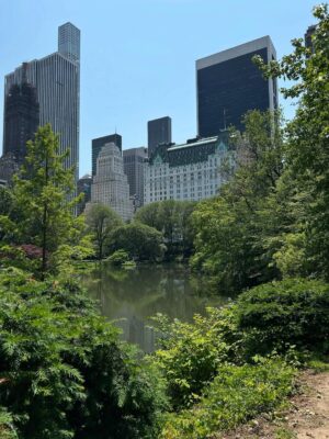 Sezin Bozacı Instagram - Concrete jungle where dreams are made of🗽#newyork
