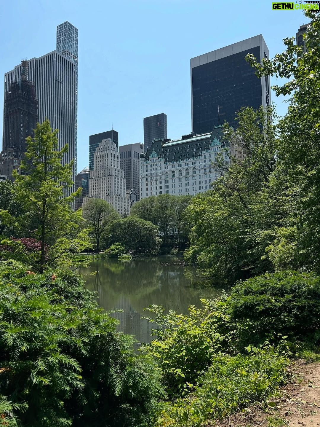 Sezin Bozacı - 30K Likes - Concrete jungle where dreams are made of🗽#newyork