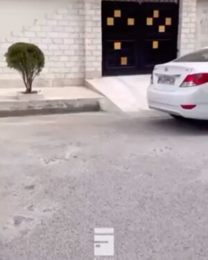 Shaghayegh Dehghan Instagram - .

براى دلِ تنگ همه ى اونايى كه عزيزاشون ازشون دورن...

_ويدئو از @alirezaajafarzadeh 
كه هر بار با ديدن ويدئوهاش بغض مى كنم. 

_عكس صفحه ى دوم رو خودم گرفتم از دوستم فرزانه و خواهر راهِ دورش، فرناز در سوگ پدرشون🖤🥀

_به اميد اون روز كه هيچ كس براى داشتن آينده ى بهتر مهاجرت نكنه، آينده ى بهتر همين جا باشه و همه همين جا كنار هم باشيم، به اميد اون روز...✌️🌿
