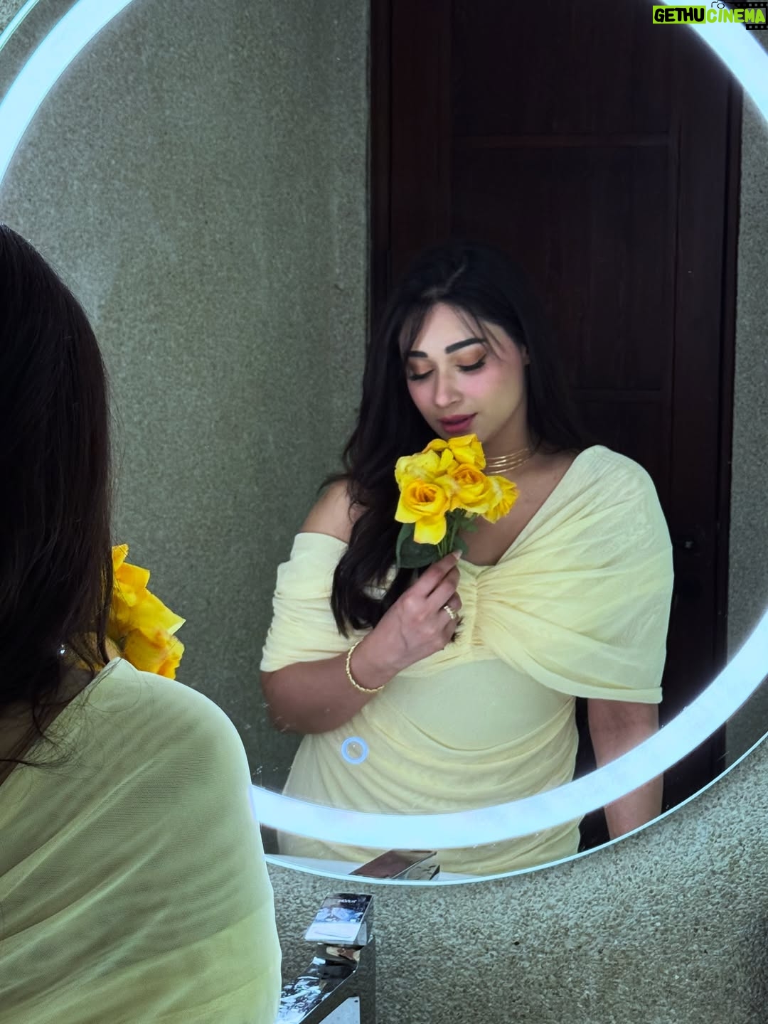 Shameen Khan - 12.5K Likes - “𝓐𝓷𝓸𝓽𝓱𝓮𝓻 𝔂𝓮𝓪𝓻 𝓽𝓸 𝓽𝓱𝓮 𝓵𝓲𝓯𝓮.” 🥂 
.
.
#birthdaywishes #birthday #instagram #love
.
.
Yellow is my colour 💛