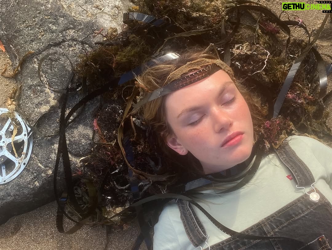 Shannon Berry - 3 Likes - it’s been 1 week since The Survivors dropped, and I am forever grateful to have been a part of it