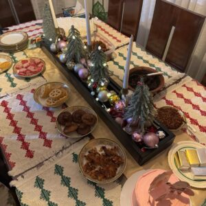 Shanudrie Priyasad Instagram - Christmas sleigh-ed 🎄
Holidays | December | last days | 2025