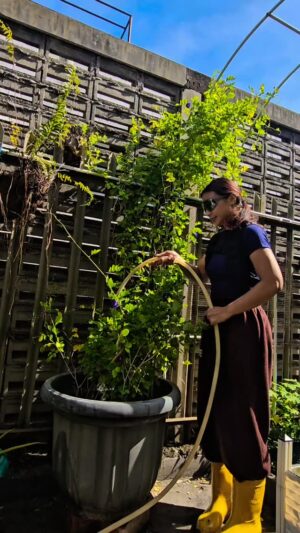 Shareefa Daanish Instagram - Jangan bayangkan betapa repotnya bikin video ini 😂