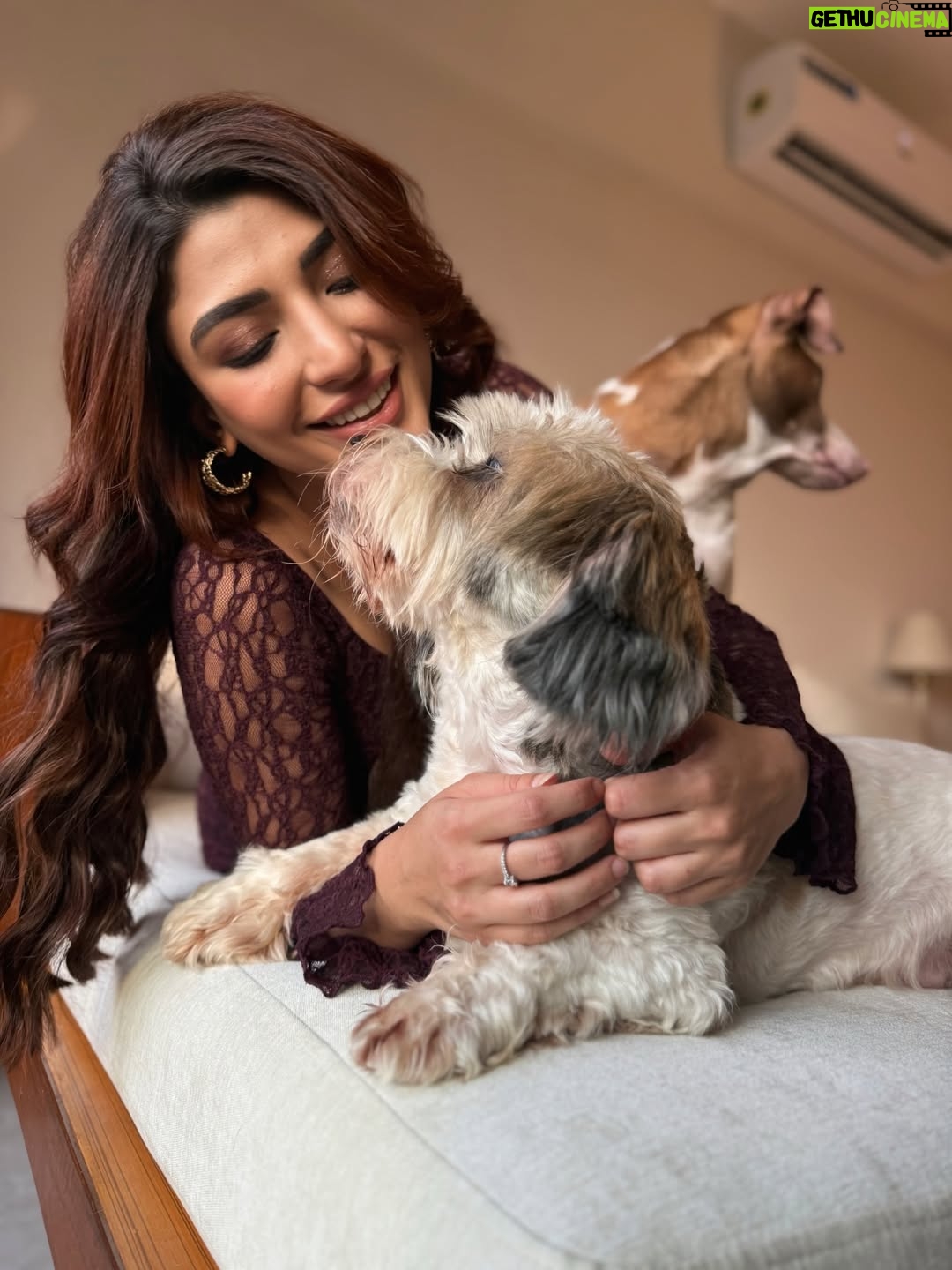 Shernavaz Jijina - 17.3K Likes - 🤎🐾