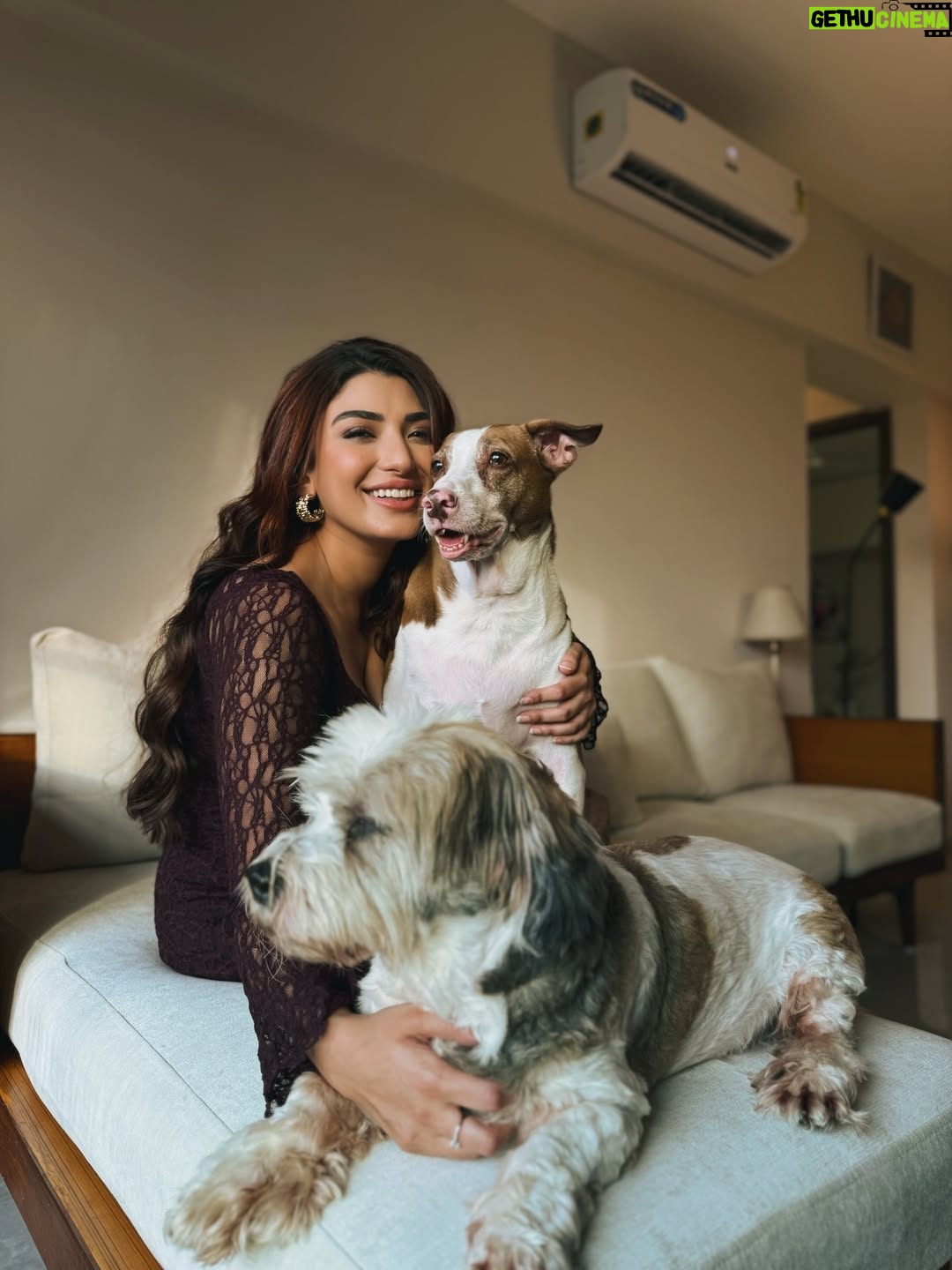 Shernavaz Jijina - 17.3K Likes - 🤎🐾