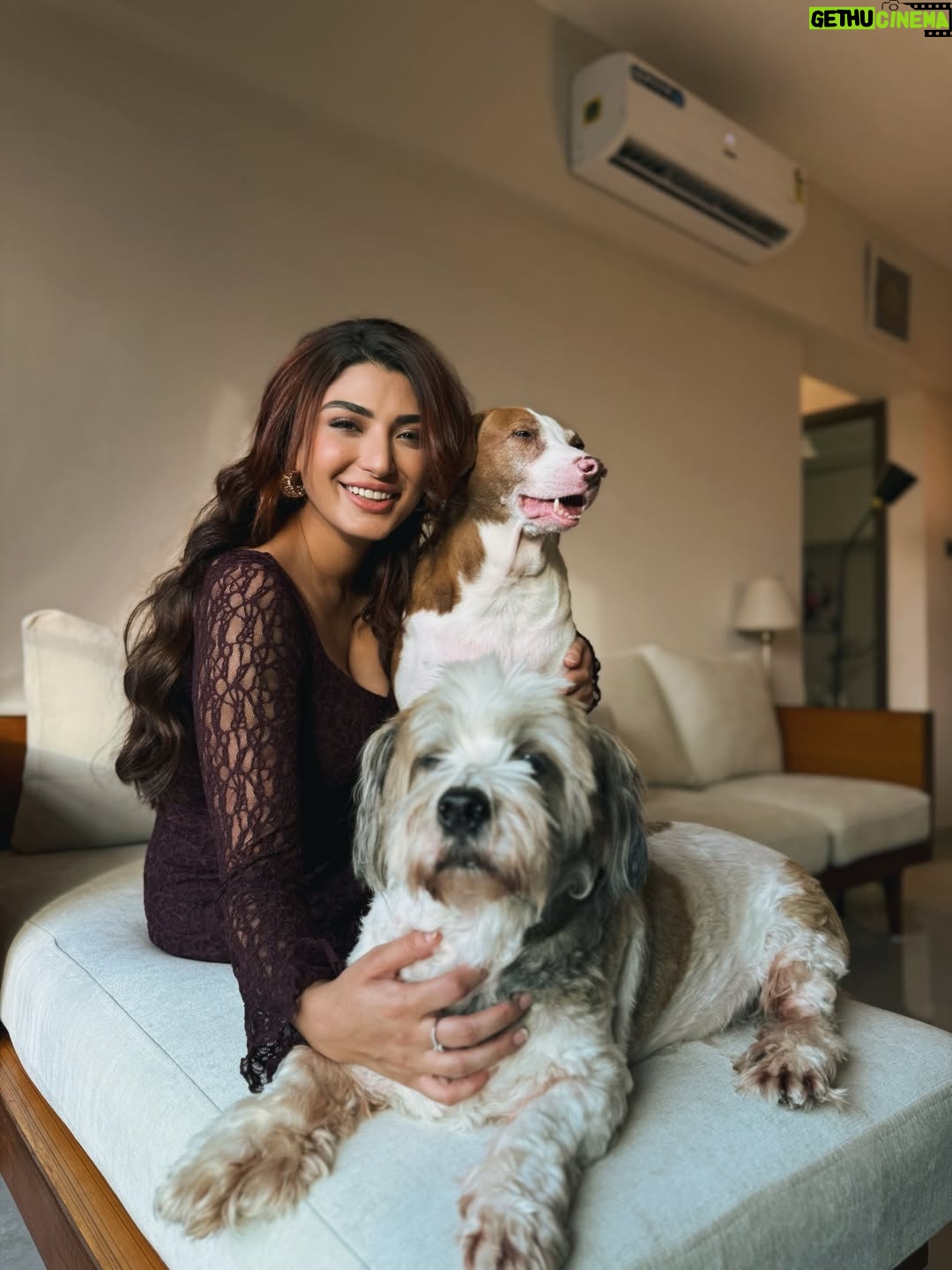 Shernavaz Jijina - 17.3K Likes - 🤎🐾