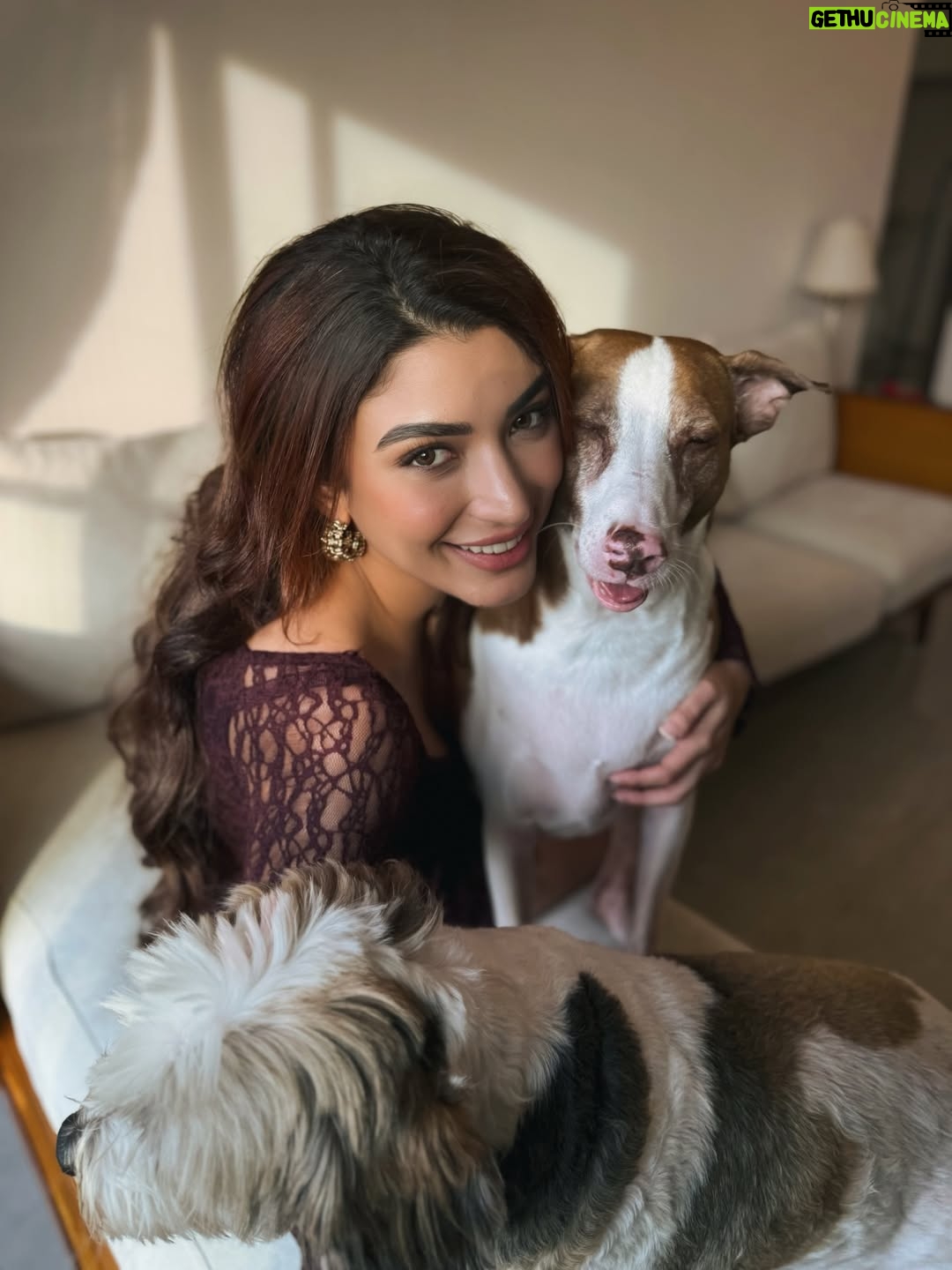 Shernavaz Jijina - 17.3K Likes - 🤎🐾