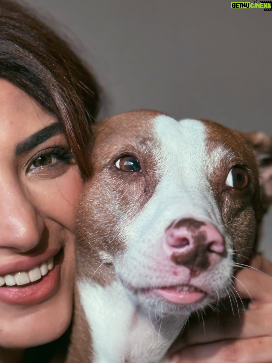 Shernavaz Jijina - 17.3K Likes - 🤎🐾