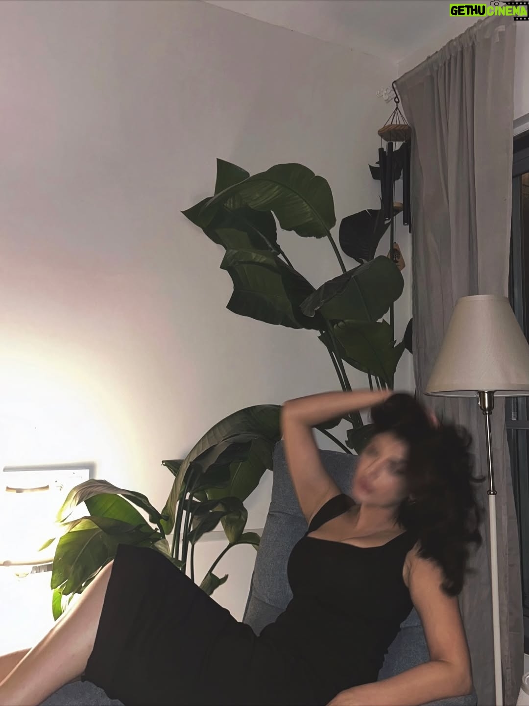 Shernavaz Jijina - 14.4K Likes - Low light,high frequency✨🖤