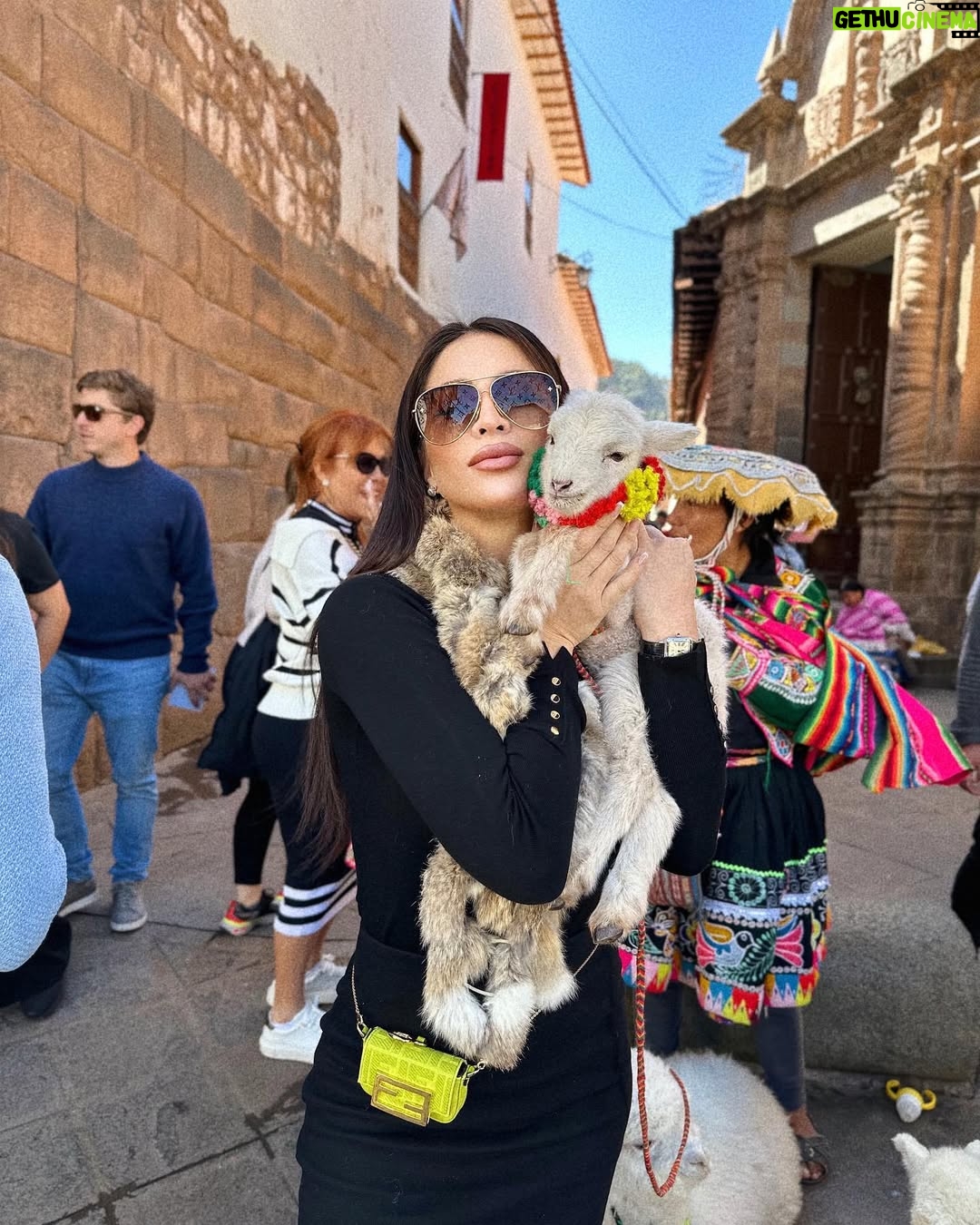 Sheyla Rojas - 39.3K Likes - 🦙❤️🇵🇪