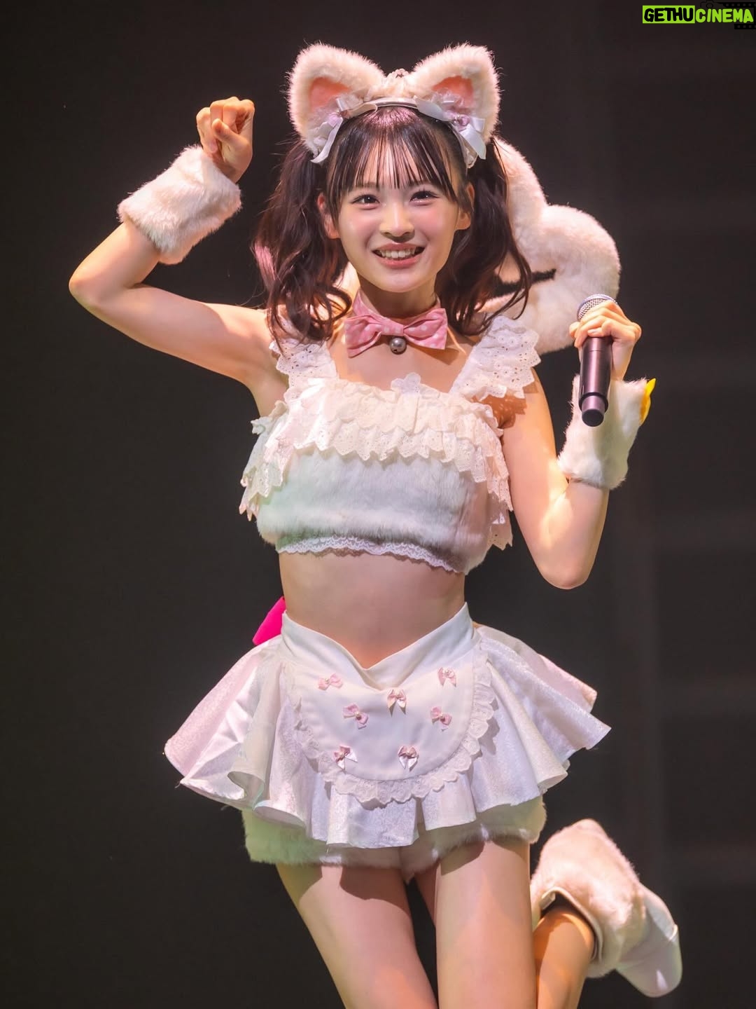 Shinzawa Nao - 4.7K Likes - ティアラが落ちるから下は向かない！！！🐱💖ニャン

#nmb48 #japaneseidol #妄想ガールフレンド