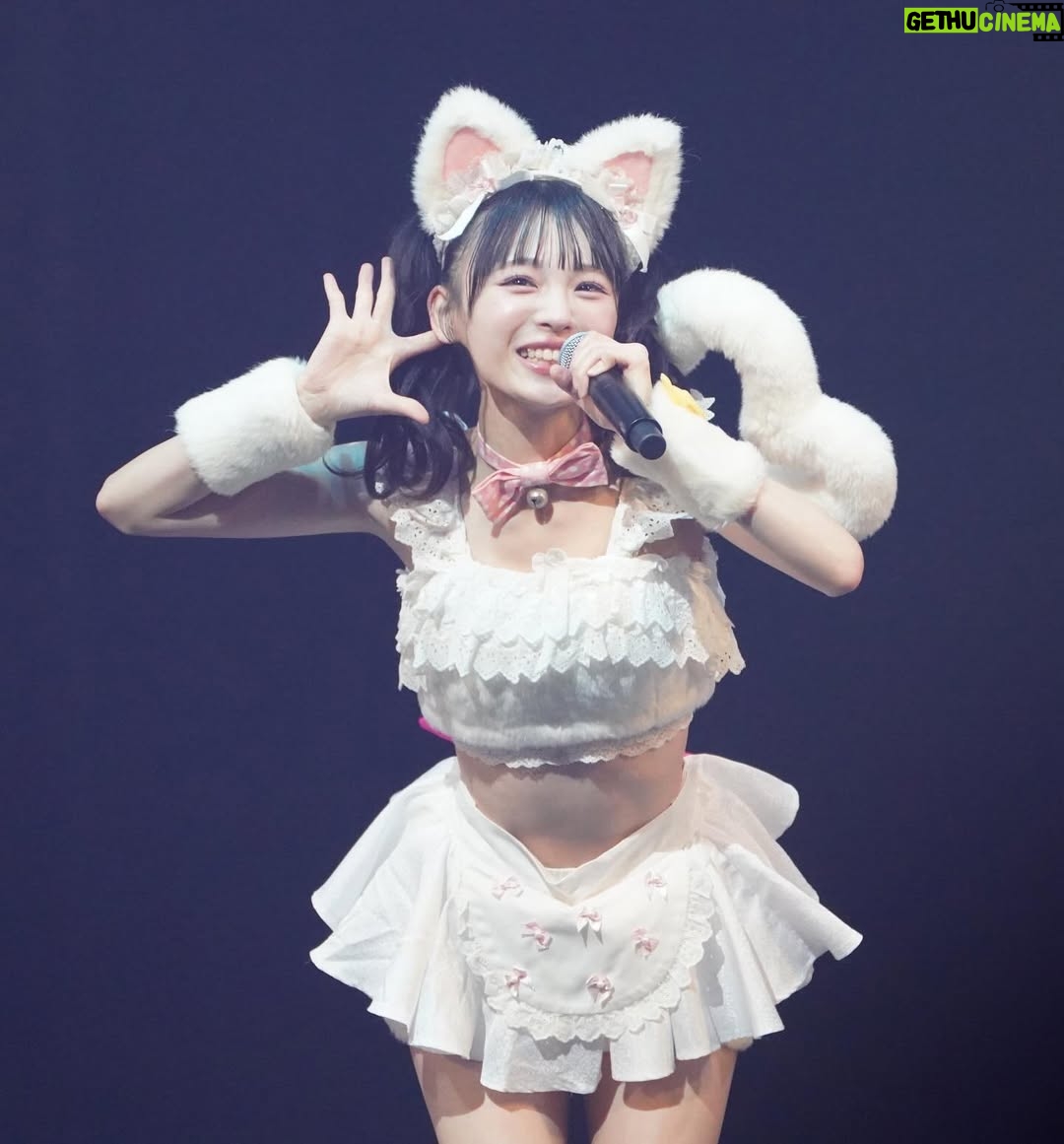Shinzawa Nao - 4.7K Likes - ティアラが落ちるから下は向かない！！！🐱💖ニャン

#nmb48 #japaneseidol #妄想ガールフレンド