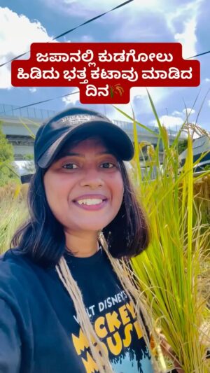 Shwetha Aradhya Instagram - ಜಪಾನಲ್ಲಿ ಭತ್ತದ ಕೊಯ್ಲು🌾ಊರ ನೆನಪು ಬಂತು❤️My first Rice harvesting experience in Japan🇯🇵
.
.
.
[rice harvesting Japan, farmers life, love farming, Kannada reels, kannadati in Japan, Karnataka, life in Japan, Japanese farmers, farmer, agricultural life, nature experience]