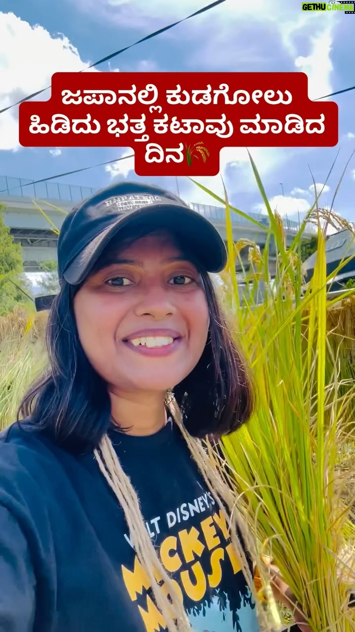Shwetha Aradhya - 33.3K Likes - ಜಪಾನಲ್ಲಿ ಭತ್ತದ ಕೊಯ್ಲು🌾ಊರ ನೆನಪು ಬಂತು❤️My first Rice harvesting experience in Japan🇯🇵
.
.
.
[rice harvesting Japan, farmers life, love farming, Kannada reels, kannadati in Japan, Karnataka, life in Japan, Japanese farmers, farmer, agricultural life, nature experience]