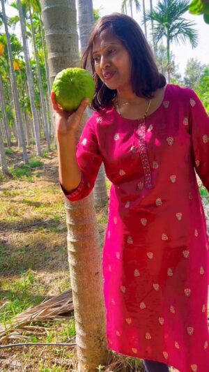 Shwetha Aradhya Instagram - ಅಡಿಕೆ ತೋಟದಲ್ಲಿ ವಿವಿಧ ಹಣ್ಣಿನ ಗಿಡಗಳು- ಸಾವಯವ  ಕೃಷಿ
.
.
.
#organicfarming #karnataka #chickmagaluru #kannadatiinjapan #kannadareels