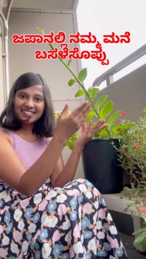Shwetha Aradhya Instagram - ಜಪಾನಲ್ಲಿ ನಮ್ಮ ಬಾಲ್ಕನಿಯಲ್ಲಿ ಬೆಳೆದ  ಬಸಳೆ ಸೊಪ್ಪು🌿