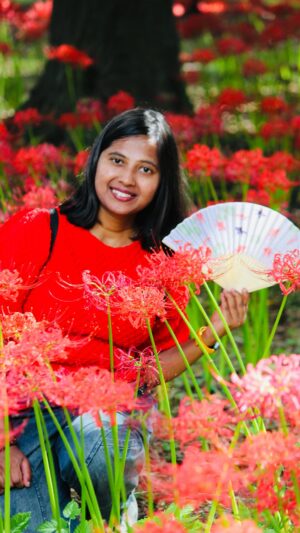 Shwetha Aradhya Instagram - ಜಪಾನಿನ ರೈತರ ಗುಟ್ಟು ಈ ಕೆಂಪು ಹೂವು Higanbana Red spider Lily viewing🌸 日本の彼岸花の季節
.
.
.
The breathtaking red spider lilies, known as Higanbana in Japan, are in full bloom at Murakami Green Space Park. Beyond their beauty, these flowers have a unique purpose. they are planted around rice fields to protect crops from animals, thanks to their natural toxicity. A perfect blend of nature’s beauty and wisdom🌾🌸

📍Location: Murakami green space Park, Chiba 

⏰Best time to visit: late September to mid October 

#higanbana #autumn #japantravel #kannadareels #farmers #ricefield  #demonslayer #muzan