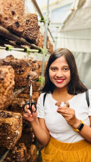 Shwetha Aradhya Instagram - ಜಪಾನಲ್ಲಿ ಅಣಬೆ ಕೃಷಿ ಮಾಡುವ ವಿಧಾನ
.
.
.
#farming #mushroomfarm #shiitake #mushroomfarmer #kannadatiinjapan #kannadareels #farmerslife