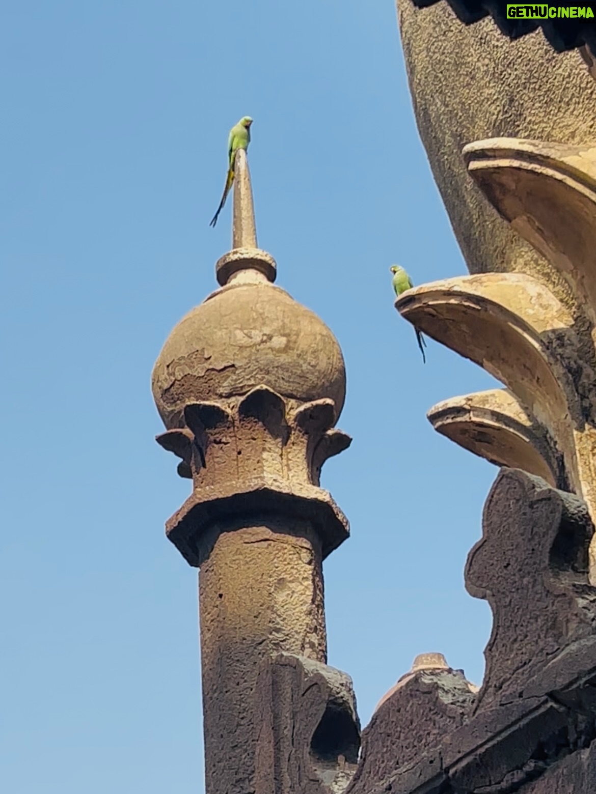 Shwetha Aradhya - 7.7K Likes - ವಿಶ್ವದ ಅದ್ಭುತ - ಗೋಳ ಗುಮ್ಮಟ ✨
.
.
.
#golgumbaz #karnataka #karnatakatourism #bijapur #kannadati