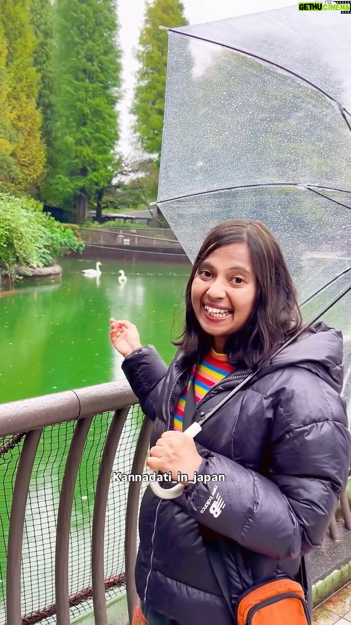 Shwetha Aradhya - 10.4K Likes - ಜಪಾನಿನ ಈ ಪಾರ್ಕ್ ಎಲ್ಲಾ ಸೀಸನ್ ನಲ್ಲೂ ಬೆಸ್ಟ್ 🍂🌸Inokashira Park, Tokyo Japan
