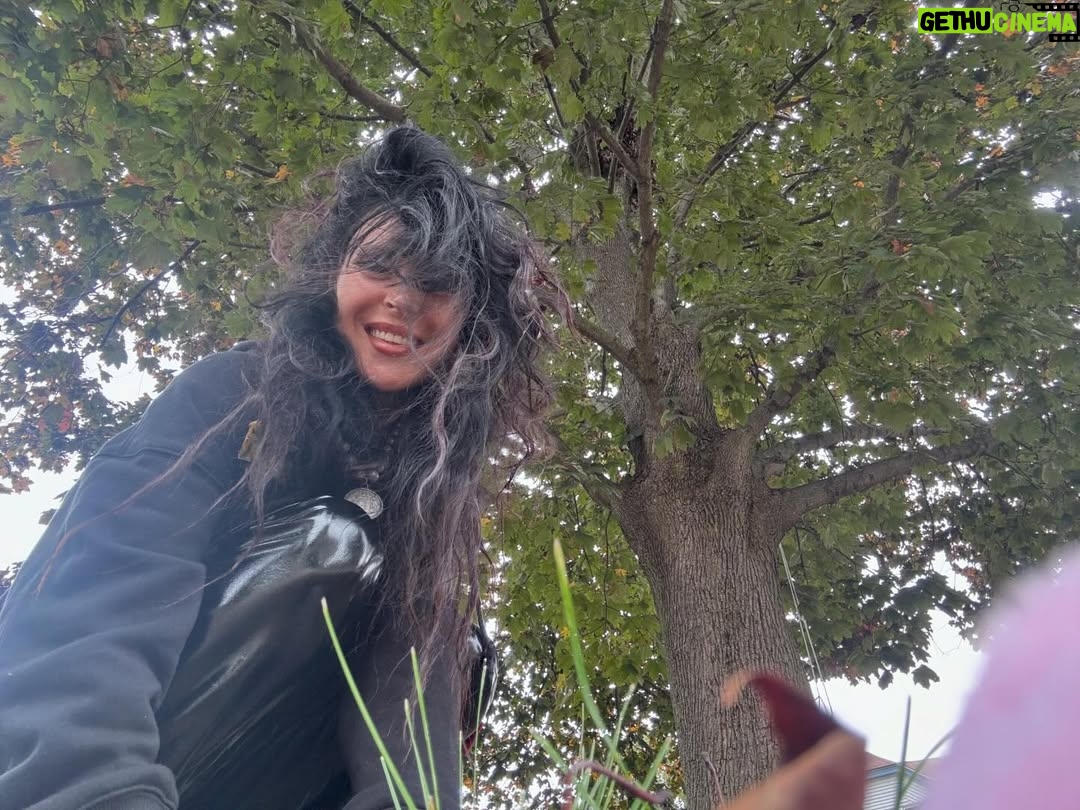 Sirah - 247 Likes - Hug a 🌳