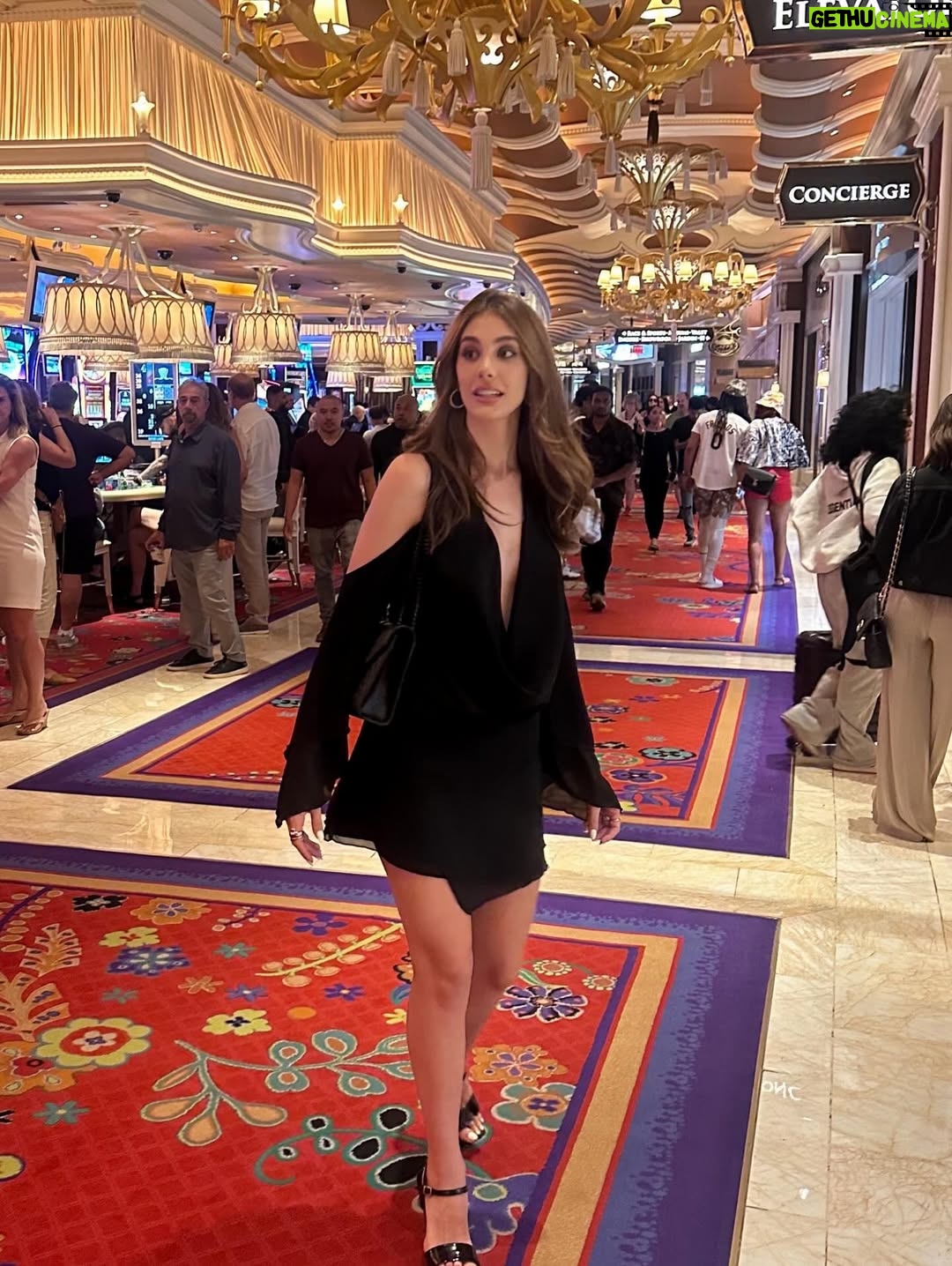 Sofía Carrera - 3.6K Likes - vegas babyy 💛