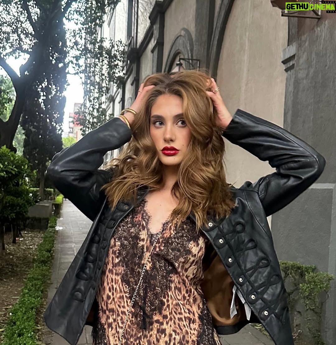 Sofía Carrera - 3.1K Likes - 🐆💋