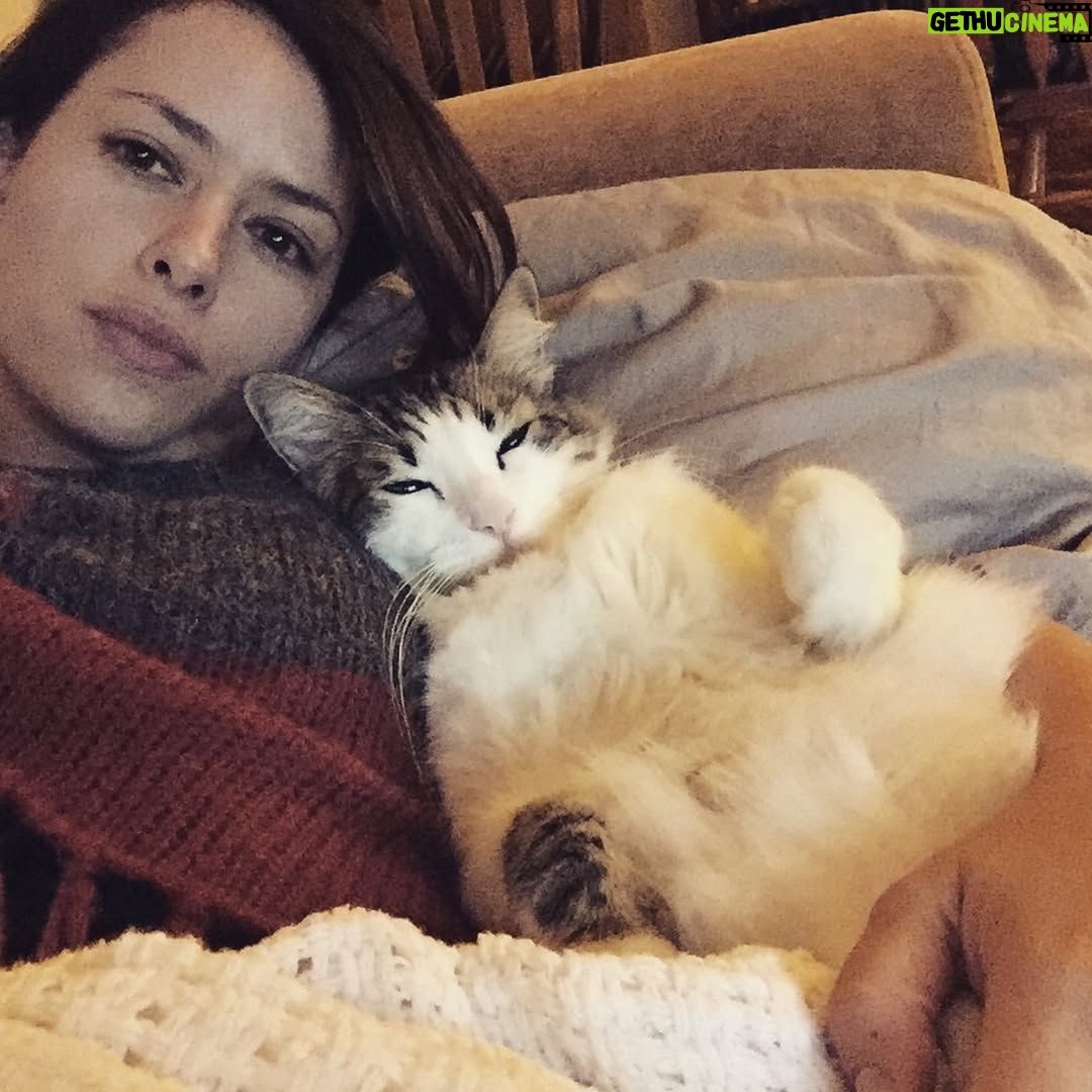 Sofía Lama - 7.4K Likes - No me gustan los trenes, pero en este si me subo porque el 2016 fue muy especial, fue cuando agarré mis maletas y mis gatos y me fui sola a vivir a Los Ángeles, sin saber lo mucho que cambiaría mi vida, lo mucho que iba a aprender y a recorrer….