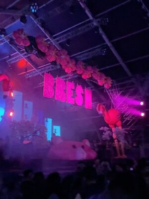 Sofía Zámolo Instagram - Cumple @pampitaoficial 🎂 en la @bresh 🩷🫦🦄