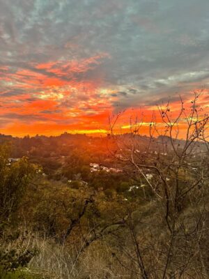 Sonja Gerhardt Instagram - Uff…Los Angeles was hast du mit mir gemacht?
What a time! So schön, so warmherzig, so viele neue Erfahrungen und Blickwinkel!
I miss you so deeply! See you soon!