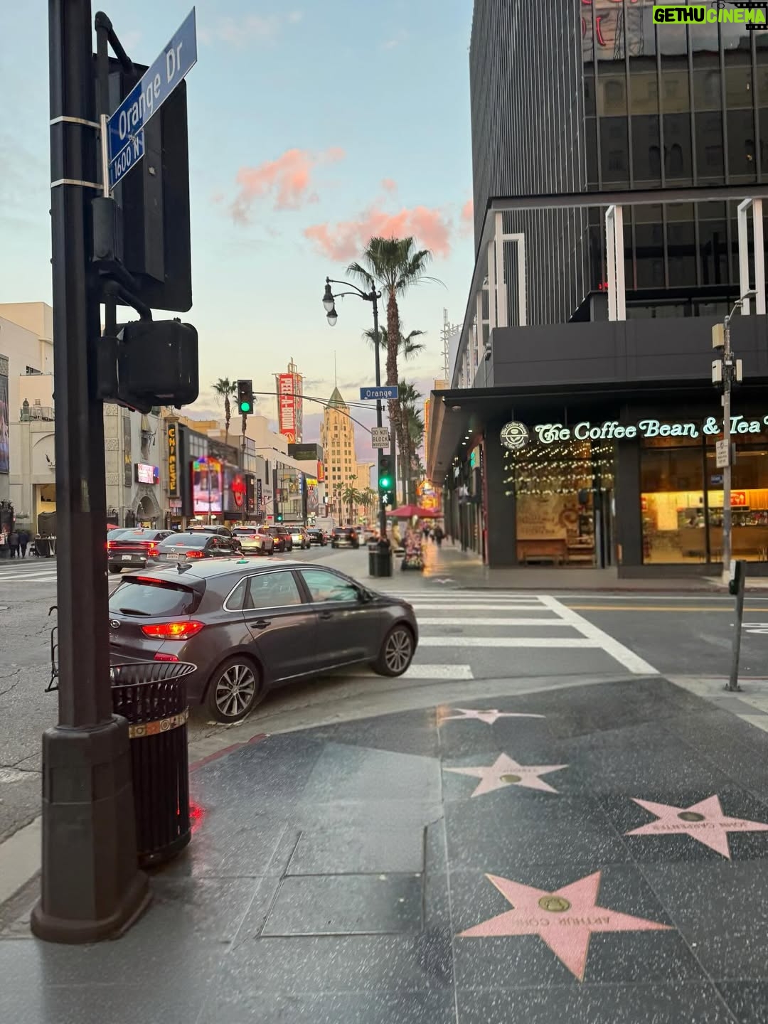 Sonja Gerhardt - 8.1K Likes - Uff…Los Angeles was hast du mit mir gemacht?
What a time! So schön, so warmherzig, so viele neue Erfahrungen und Blickwinkel!
I miss you so deeply! See you soon!
