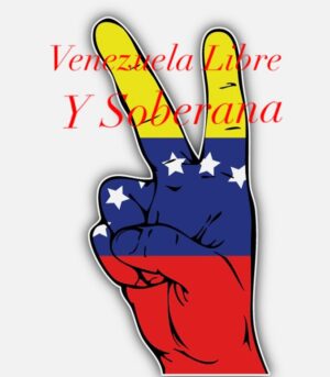 Sonya Smith Instagram - Victoria y Libertad para nuestra hermosa Venezuela!!. Cada uno de ustedes que están en las calles, luchando cuerpo a cuerpo por obtener  la libertad de nuestro hermoso país  son más que VALIENTES… El ser resistentes y resilentes  es lo que hace la diferencia. Me siento orgullosa de ser venezolana, porque nuestro país tiene hombres y mujeres llenos de sueños, esperanzas, bondad y espíritu de lucha. Aún en la distancia mi corazón siente la impotencia y la rabia por la deshonestidad por la que está atravesando Venezuela. Pero yo tengo mucha FE que la verdad y la justicia van a prevalecer, falta poco… Gracias por ser tan valientes. todo mi respeto y admiración y oraciones…GLORIA AL BRAVO  PUEBLO QUE EL YUGO LANZÓ…🇻🇪💛💙❤️🇻🇪💛💙❤️🇻🇪💛💙❤️