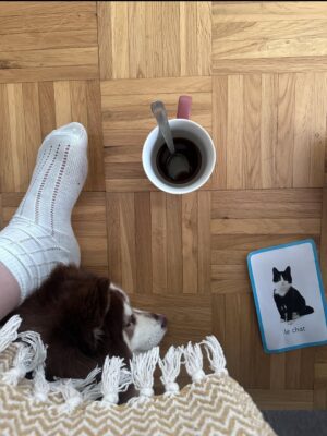 Sophie-Marie Larrouy Instagram - Boubou en douze chapitres 
Depuis notre première rencontre jusqu’à ce jour même s’il y a certains moments où tu es subversif par rapport aux indications de jeu que je te donne (ex : ne pas sauter sur des gens en pantalon blanc pour les saluer) tu m’as sauvé la mise mon ami, et depuis tes deux mois et un jour, j’ai parfois perdu mon calme mais je t’aime pour toujours mon chien. Merci d’être ce compagnon de vie pour l’éternité. Joyeux quatre ans mon boubou je t’aime maman chien. je te promets qu’un jour tu parviendras à traîner avec un chat
Ps : ton papa dit que tu perds tes poils ce qui est vrai mais il t’aime aussi comme son fils chien