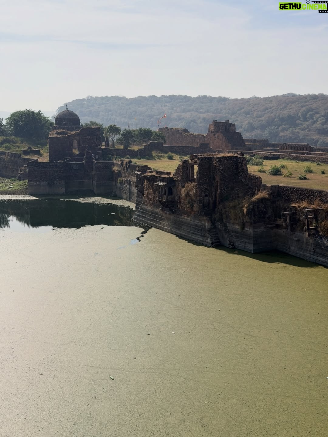 Sri Sudha Bhimireddy - 635 Likes - Welcome to the UNESCO HERITAGE #ranthambhorefort