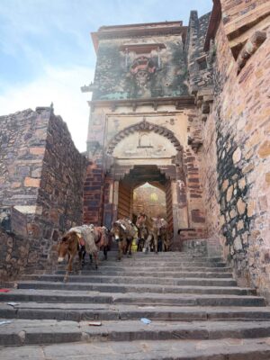 Sri Sudha Bhimireddy Instagram - Welcome to the UNESCO HERITAGE #ranthambhorefort