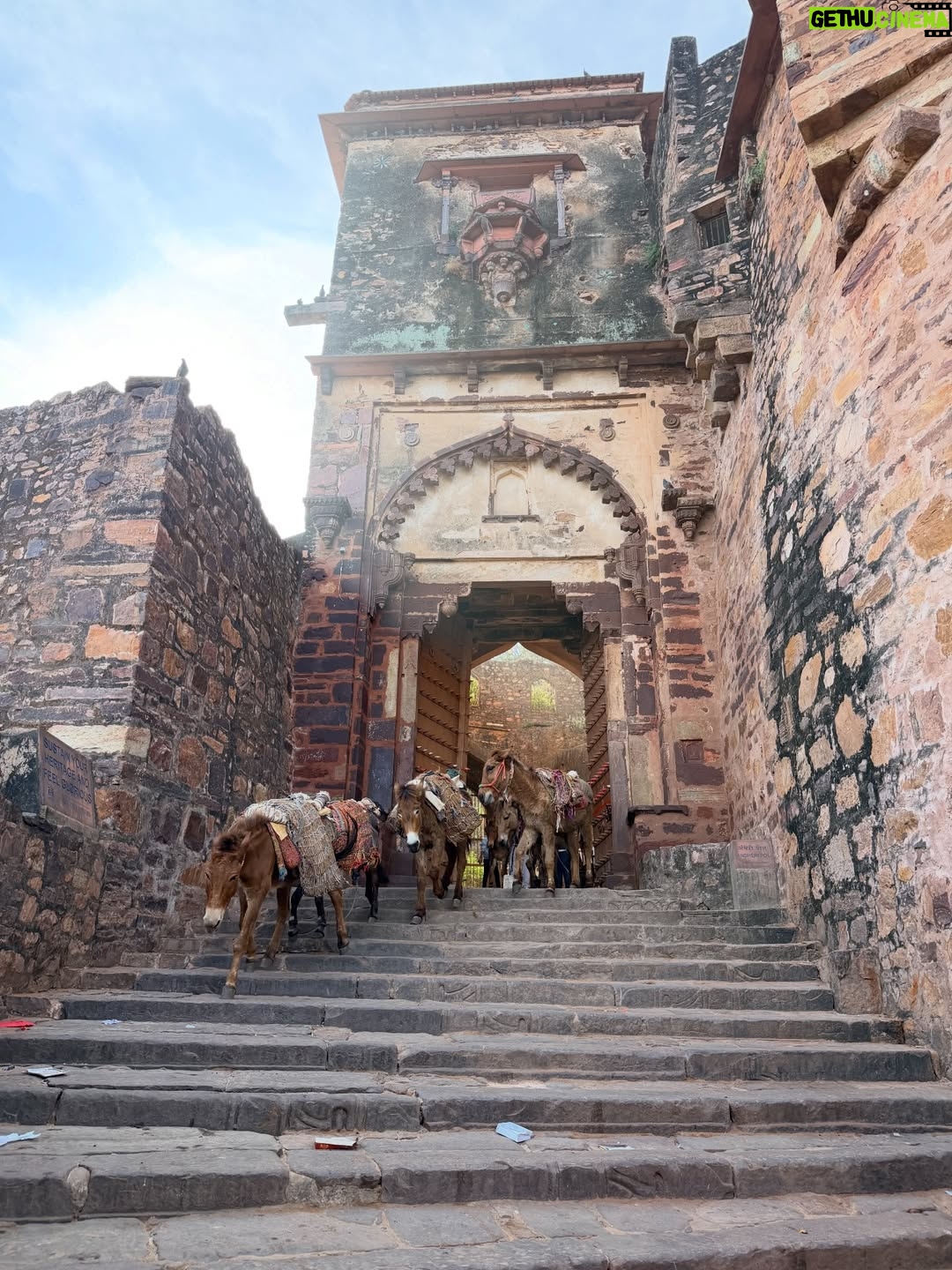 Sri Sudha Bhimireddy - 635 Likes - Welcome to the UNESCO HERITAGE #ranthambhorefort