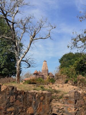 Sri Sudha Bhimireddy Instagram - Welcome to the UNESCO HERITAGE #ranthambhorefort
