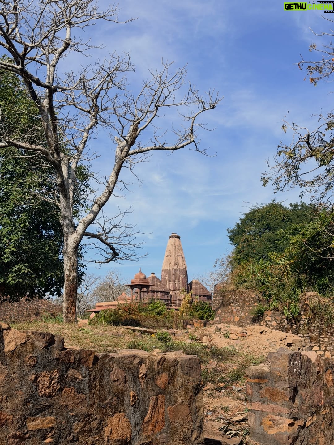 Sri Sudha Bhimireddy - 635 Likes - Welcome to the UNESCO HERITAGE #ranthambhorefort