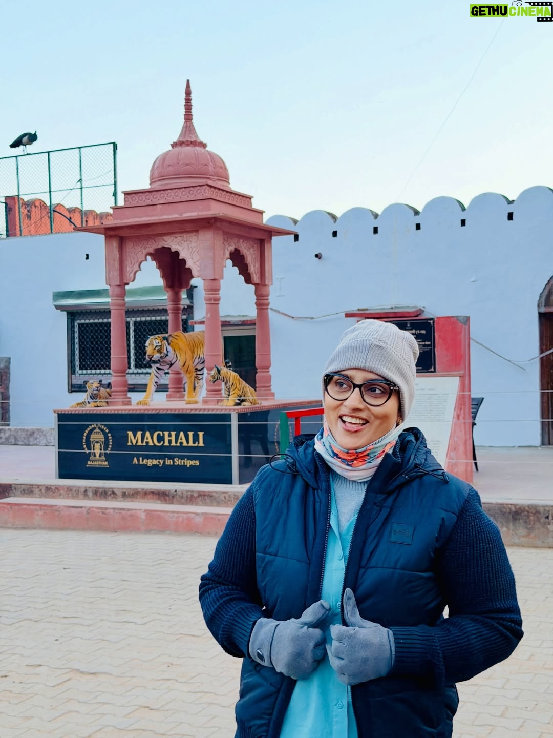 Sri Sudha Bhimireddy - 876 Likes - Winters are always special with sunlight beam rays passing through the thin lines of hopes …….
🥰❤️🐅🐯🐯🐅❤️